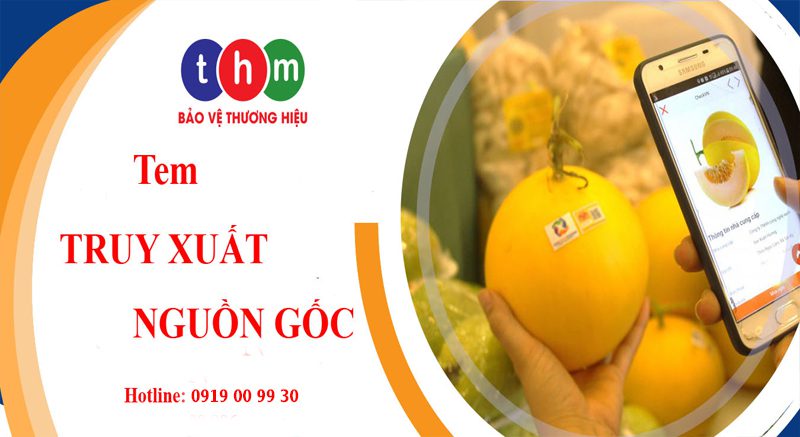 tem chống giả qrcode truy xuất nguồn gốc