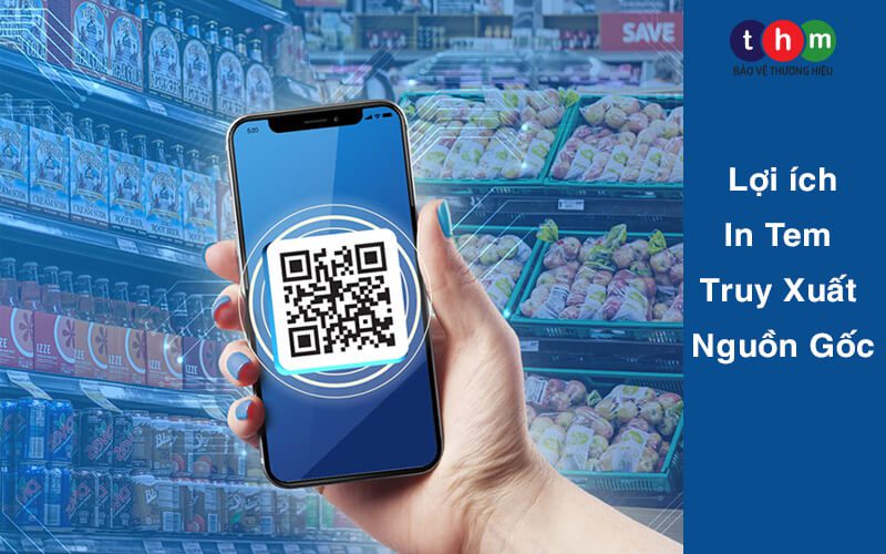 lợi ích truy xuất nguồn gốc tân hoa mai lợi ích truy xuất nguồn gốc tân hoa mai