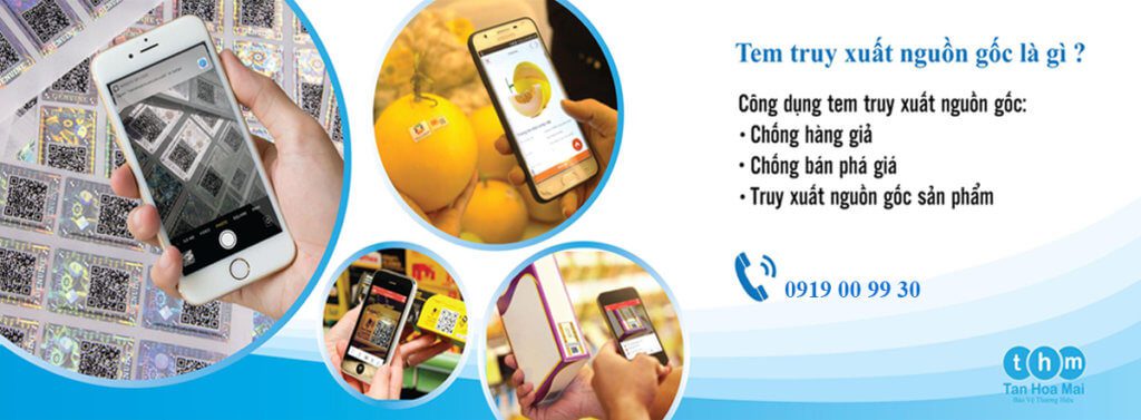 giải pháp tem truy xuất nguồn gốc tân hoa mai