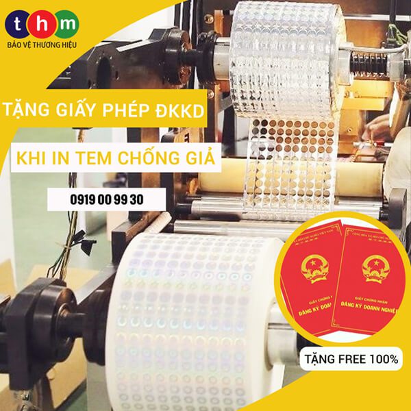 tân hoa mai tặng giấy phép đăng ký kinh doanh miễn phí