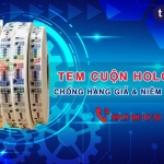 tem cuộn hologram chống giả tân hoa mai
