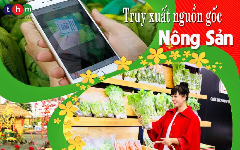truy xuất nguồn gốc nông sản tân hoa mai