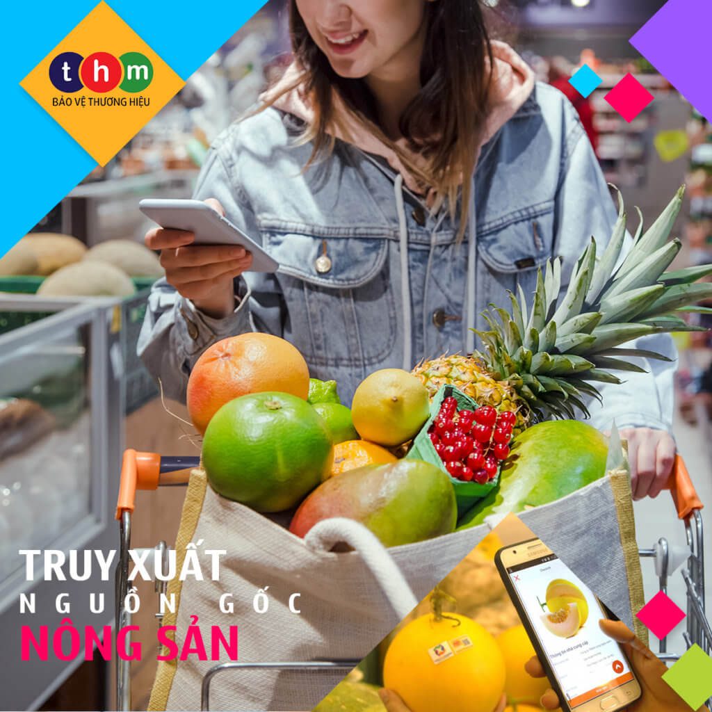 truy xuất nguồn gốc nông sản tân hoa mai
