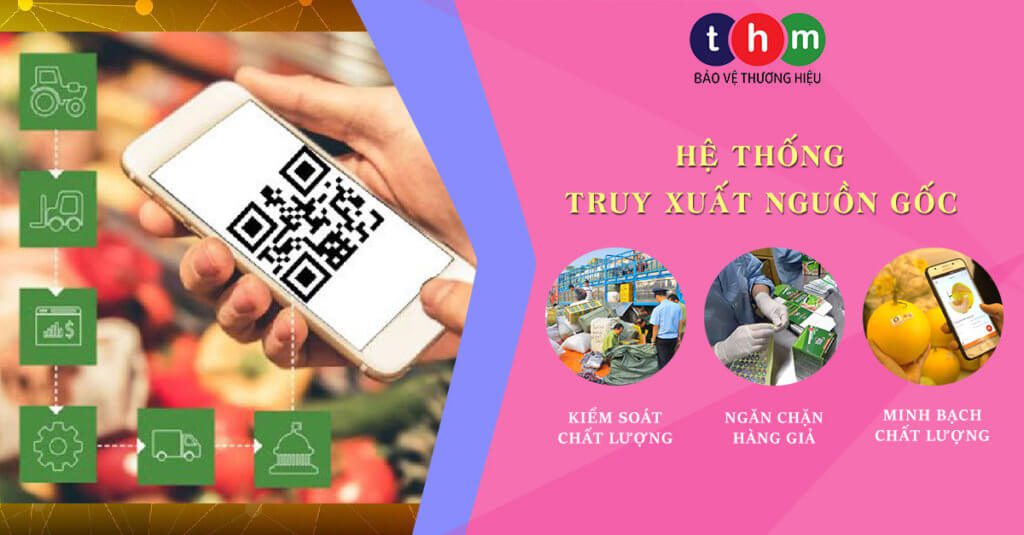 hệ thống truy xuất nguồn gốc