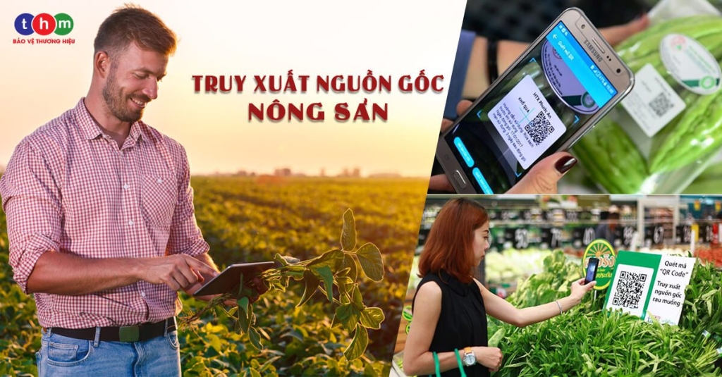 truy xuất nguồn gốc nông sản