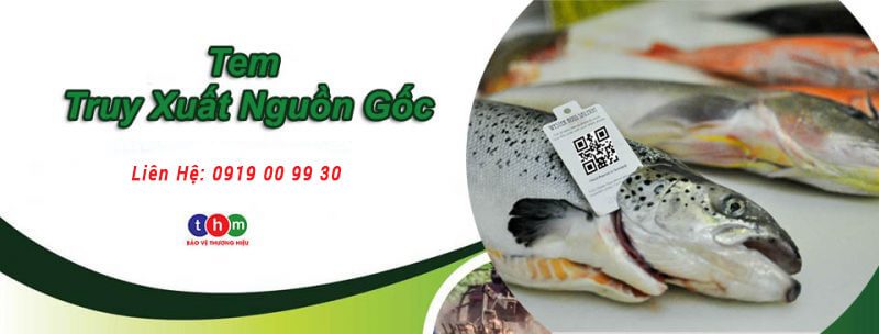 tem truy xuất nguồn gốc