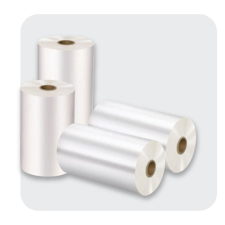 màng hologram tân hoa mai