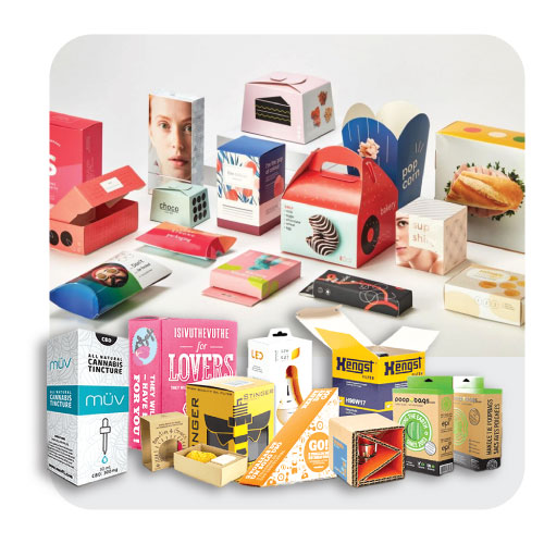 bao bì hộp giấy tân hoa mai