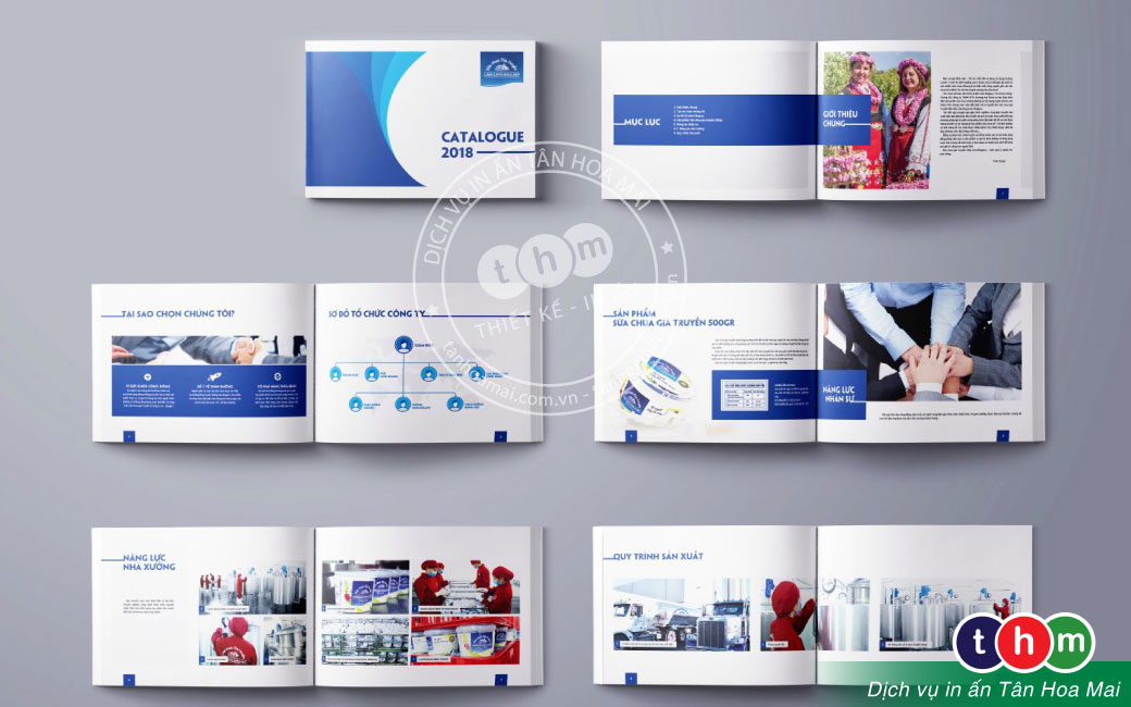 Xưởng in ấn catalogue giá rẻ, bìa cứng đẹp tại HCM Xưởng in ấn catalogue giá rẻ, bìa cứng đẹp tại HCM