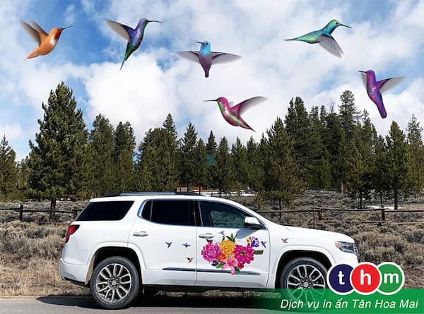 thoa thich sang tao giup xe dep nho decan