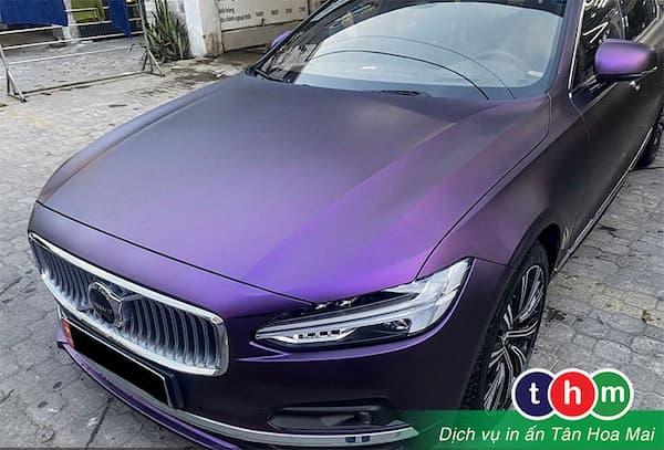 decal mau mau den sang trong cho xe