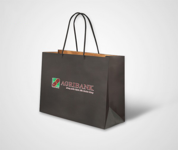 in-tui-giay-tai-ha-noi