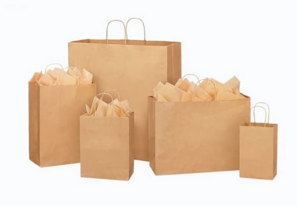 mau-tui-giay-co-quai