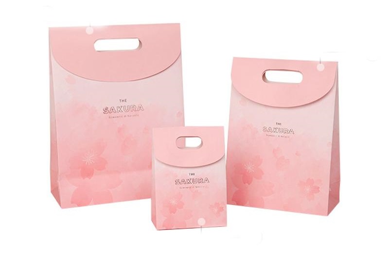 Mẫu này vô cùng đơn giản nhưng không kém sang trọng, trang nhã tui-giay-dung-my-pham