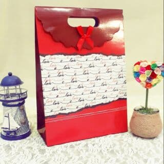 tui-giay-dung-qua-sinh-nhat