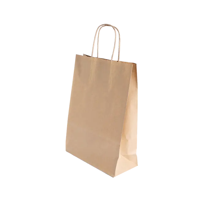 tui-giay-kraft-co-quai