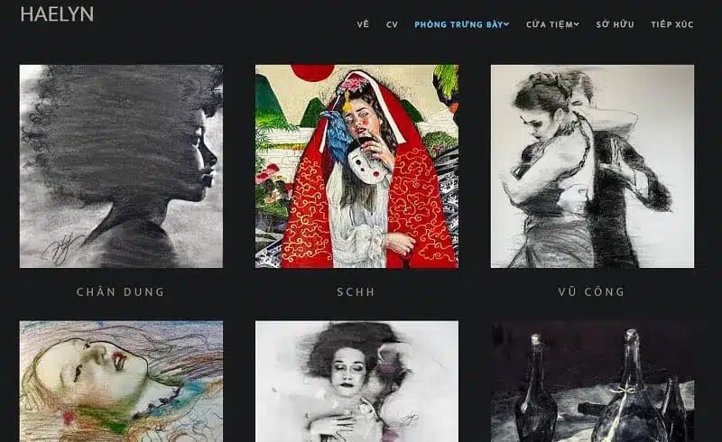 mau-portfolio-cua-haelyn