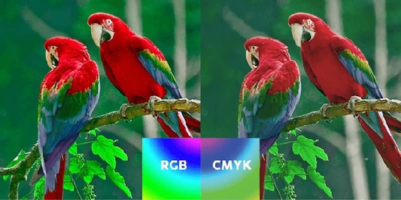 phan-biet-bang-mau-rgb-va-cmyk