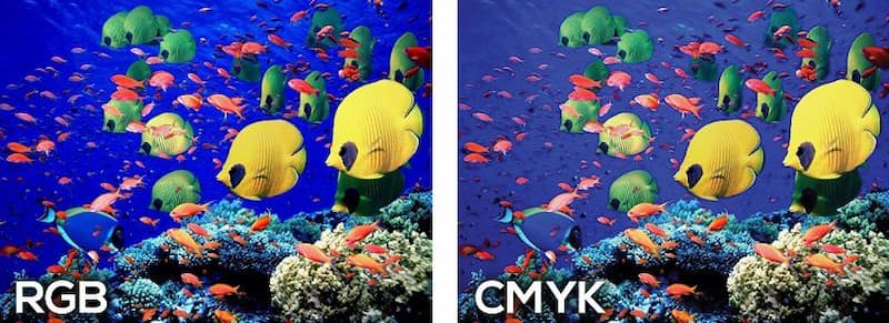 Sự khác biệt giữa rgb vs cmyk so-sanh-rgb-cmyk